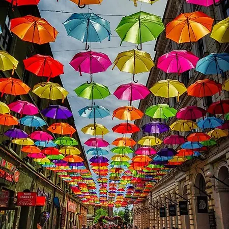 Take Pro Lägenhet Timişoara