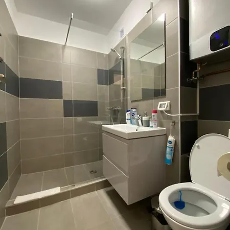 Take Pro דירה טימישוארה