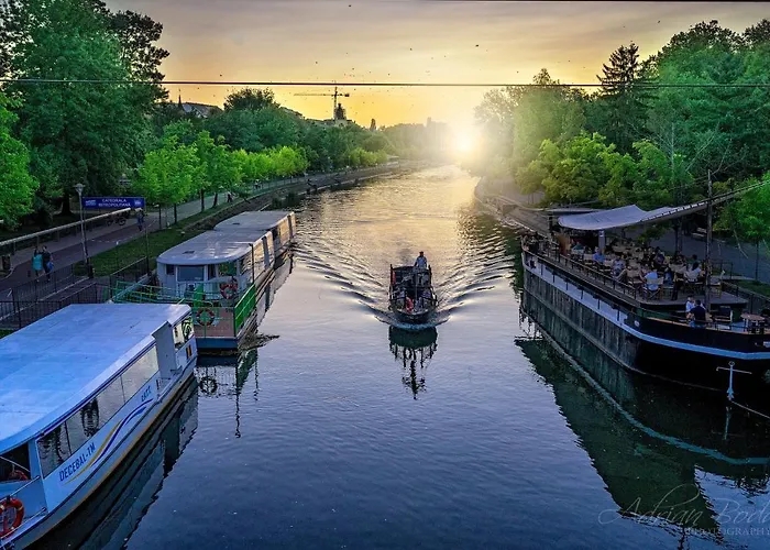 Take Pro * 티미쇼아라