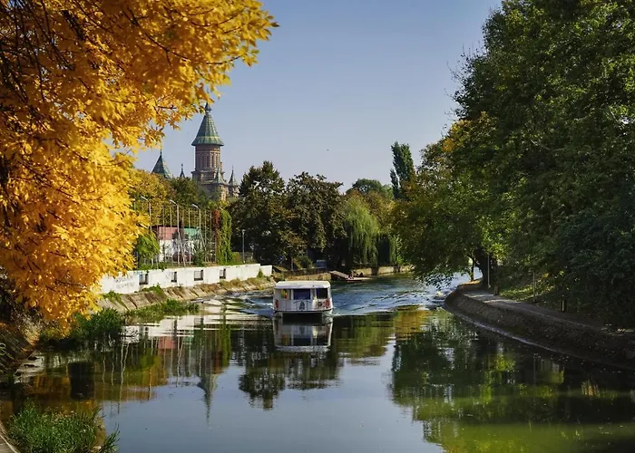 Take Pro * Timisoara