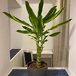 Appartement Take Pro Timişoara
